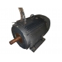 Silnik elektryczny 110 kW